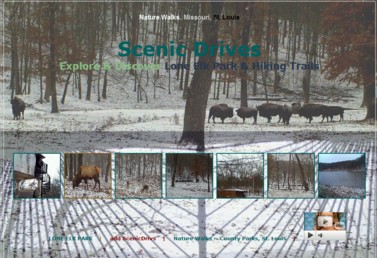 Scenic Drives-Lone Elk